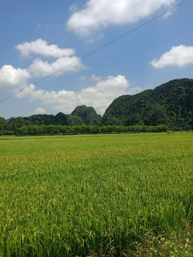Tam Coc Valley Bungalow Ninh Bình Extérieur photo
